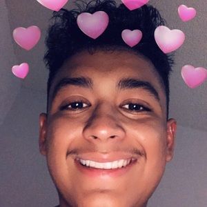 Meet your Posher, Steven